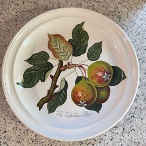 PORTMEIRION 10 1/2” Dinner Plate POMONA The Goddess Of Fruit Teinton Squash Pear